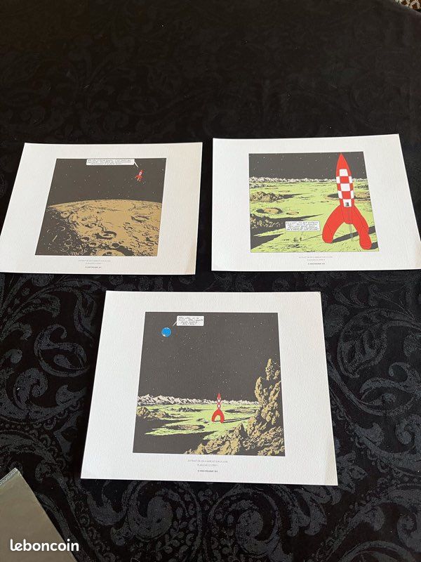 29 planches tintin collection (image 11)