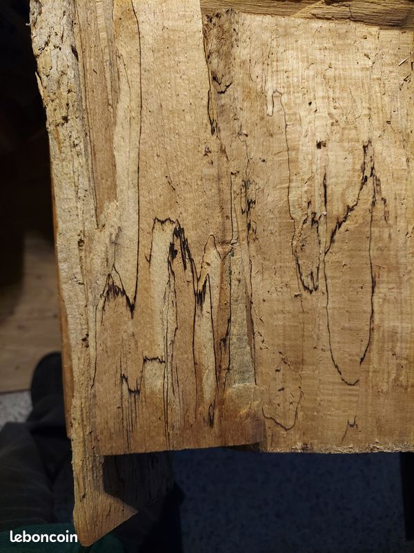 Bois vieux hetre (image 2)