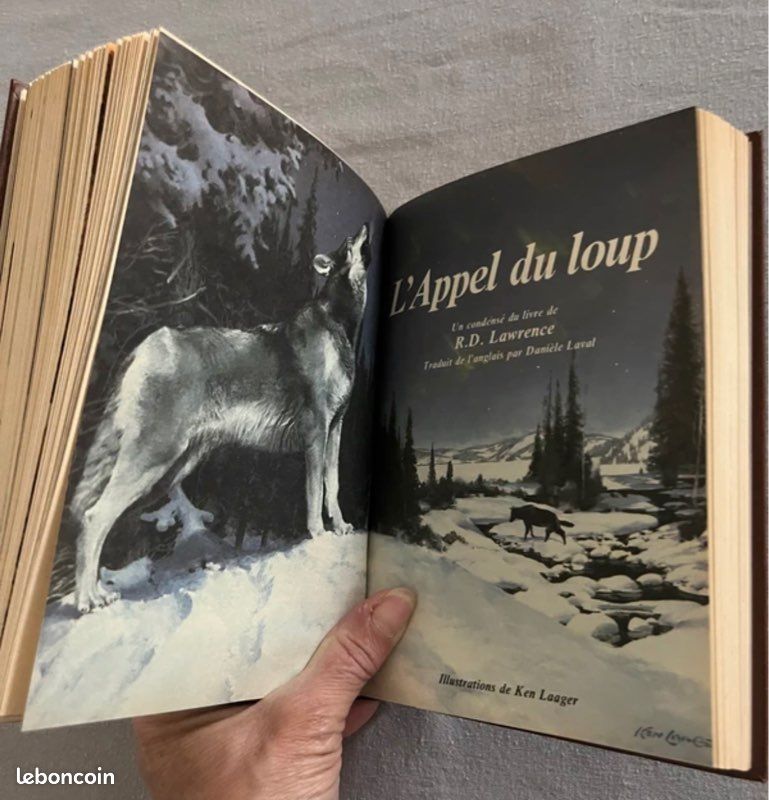 La sélection du livre : 4 histoires / 4 auteurs (image 10)