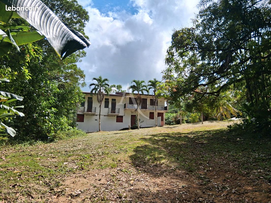 Immeuble 7 pièces 245 m² · à Matoury · 245 m² · 500 000 €