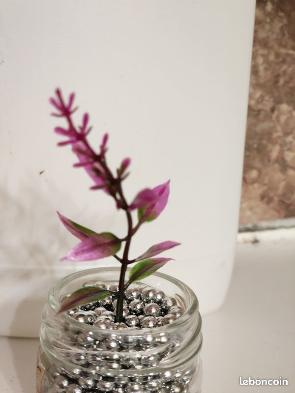 Plante artificielle pour décoration (image 10)