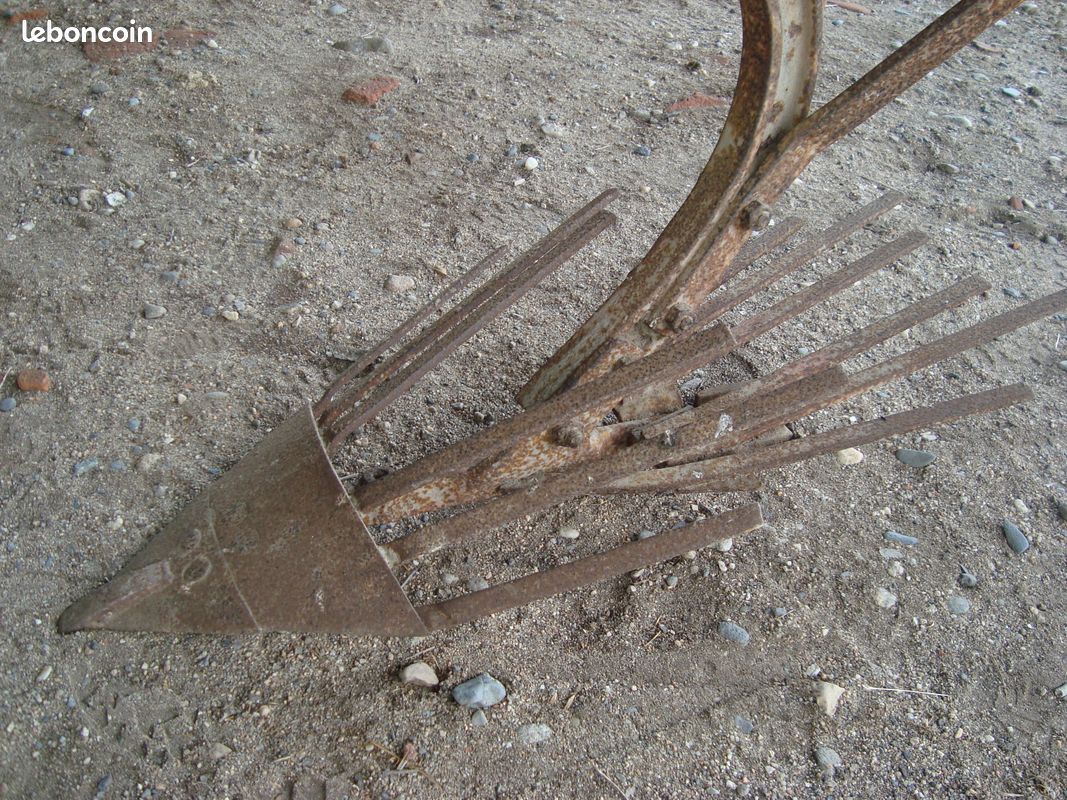 Arracheuse pomme de terre (image 2)
