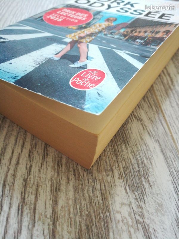 Livre roman New york odyssée de kristopher Jansma (image 8)