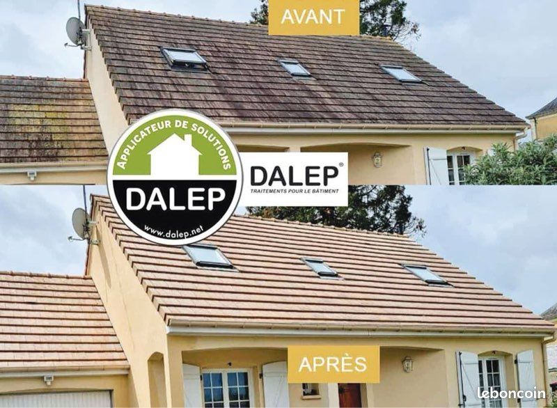Couvreur Zingueur – Pose de Velux & Traitement de Toiture ✅ (image 4)
