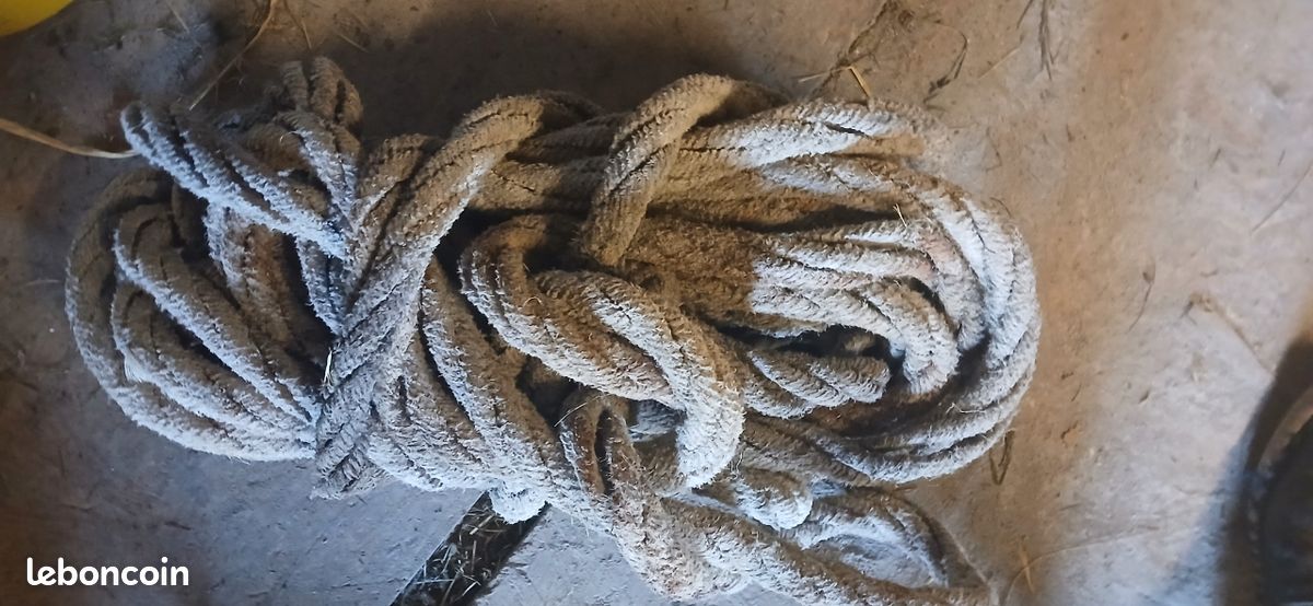 Corde (image 4)