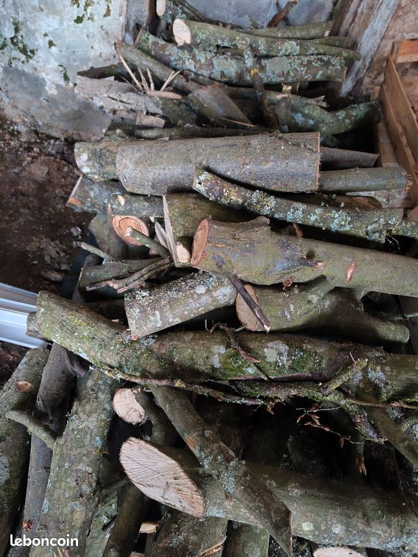 Bois (image 1)