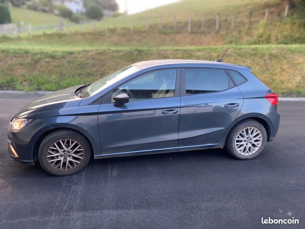 Seat Ibiza (image 1)