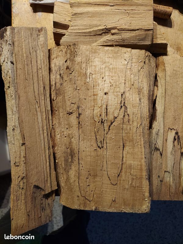 Bois vieux hetre (image 1)