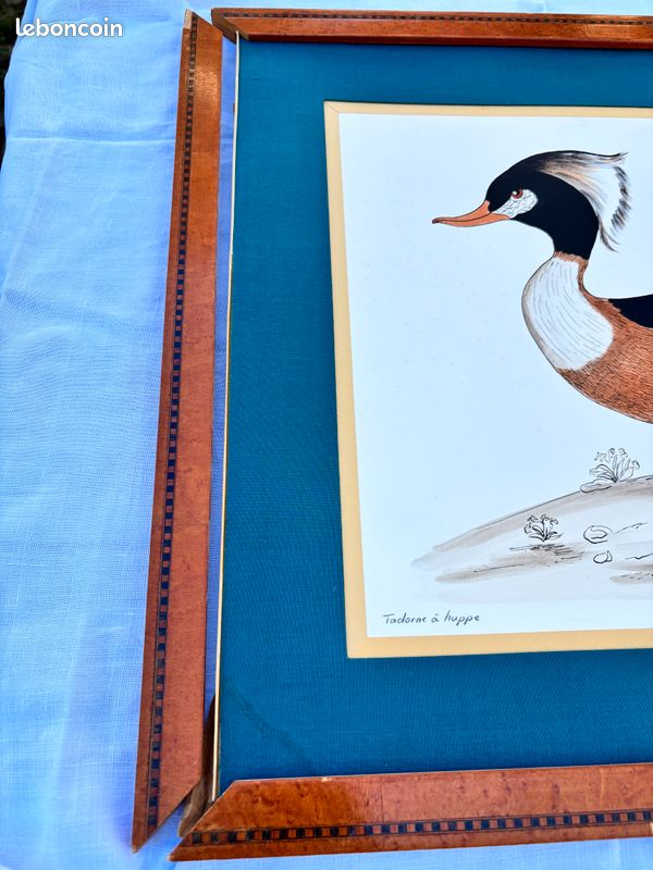 Aquarelle Dayelle De Terronblan - dessins de Monbaly (image 4)