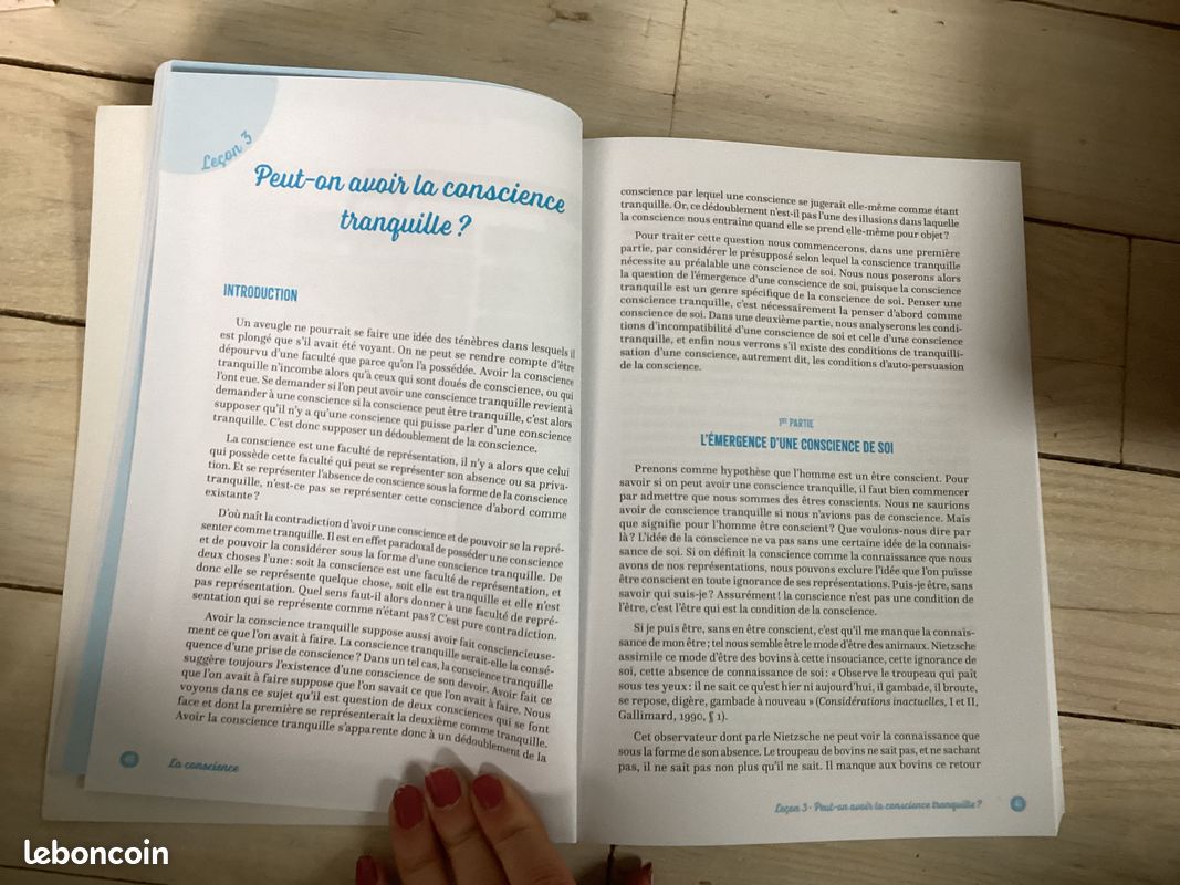 Sujets de dissertations de philo en cartes mentales, terminale (image 6)