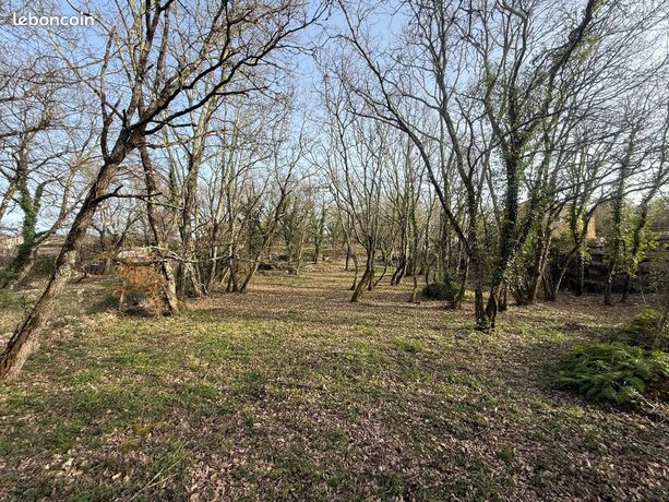 Terrain 2950 m² CHAUZON