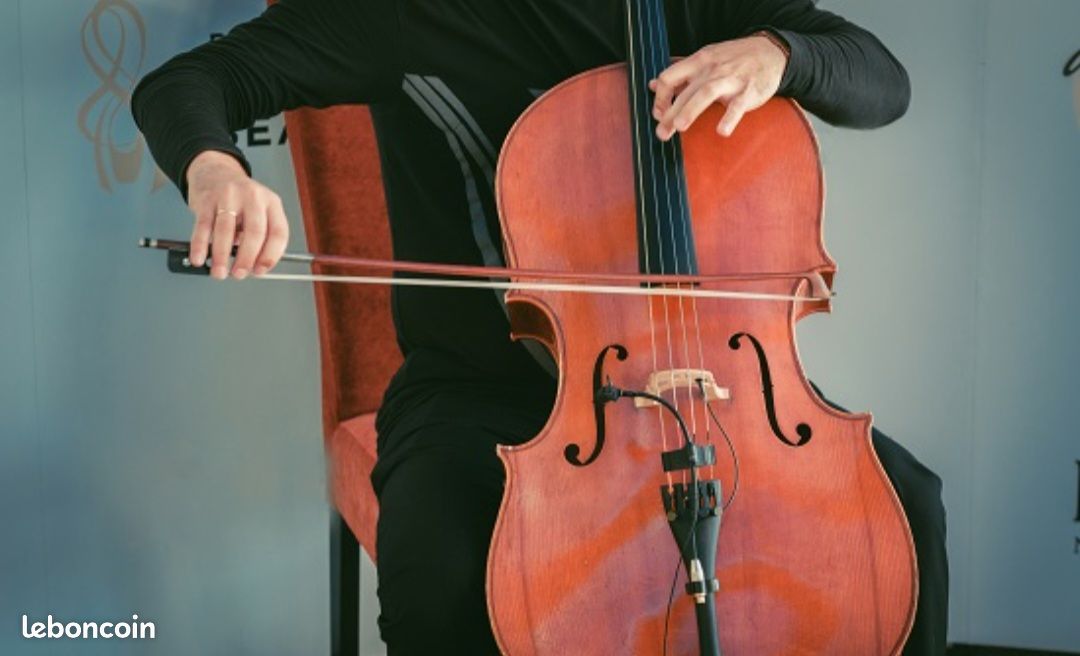 Cours de violoncelle (image 1)