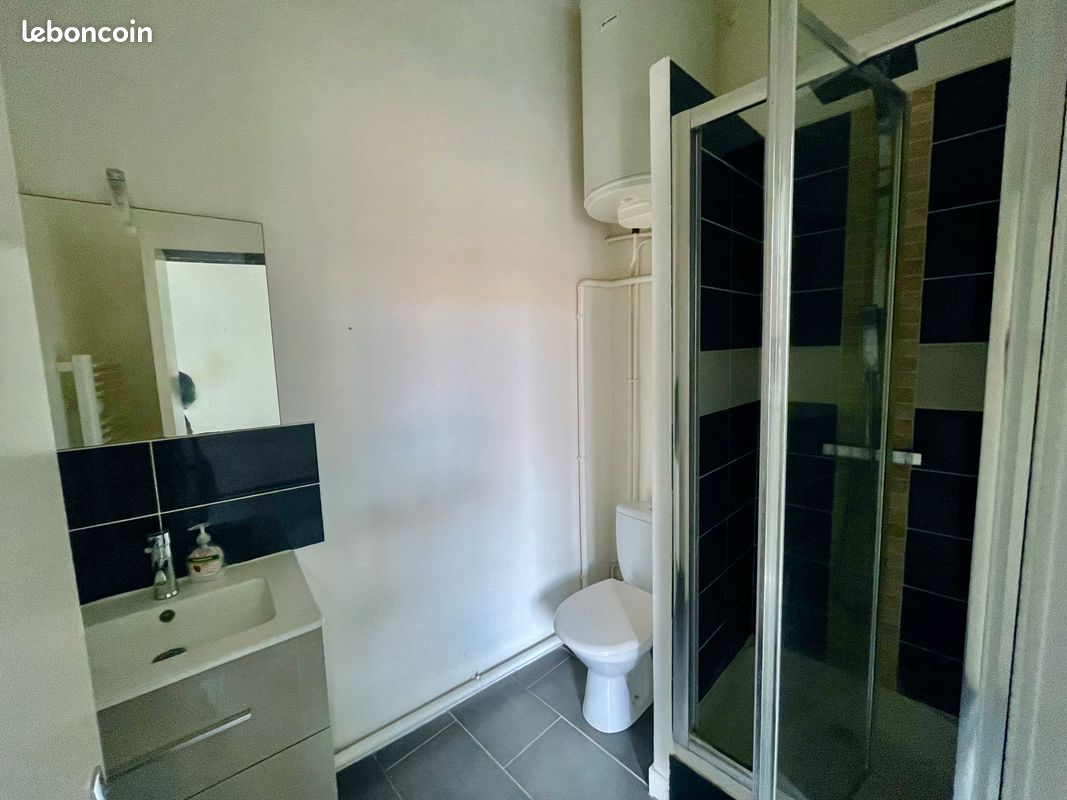 Appartement 40 m2 centre ville Poitiers - Poitiers 86000 (image principale 0)