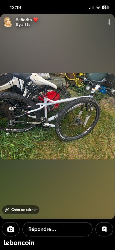 Vélo vtt (image 1)