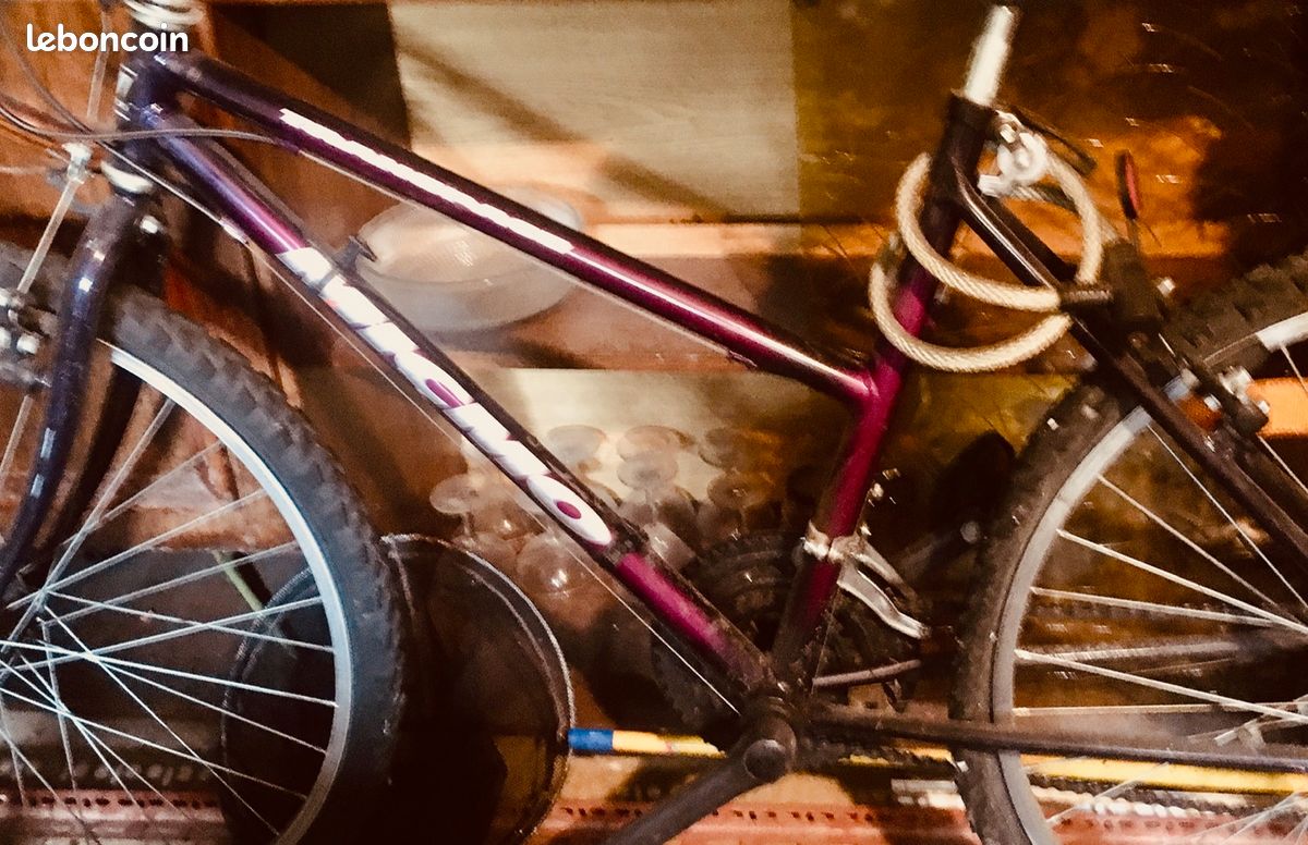 Vélo fille femme VVT à vitesses MICMO en excellent état (image 2)