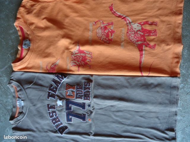 2 T-shirts garçon 12 ans CYRILLUS (image 1)