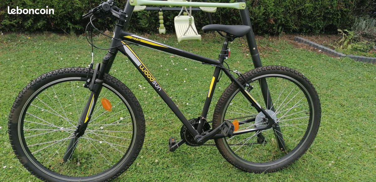 Ville Woodsun Vtc Woodsun 28 Seventies Femme Vélo Électrique ENGWE