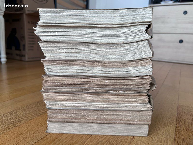 Histoire de l'Art (8 volumes / tomes) - André Michel (Librairie Armand Colin) (image 6)