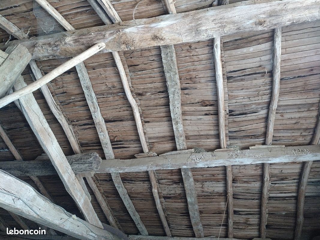 Bois charpente (image 2)