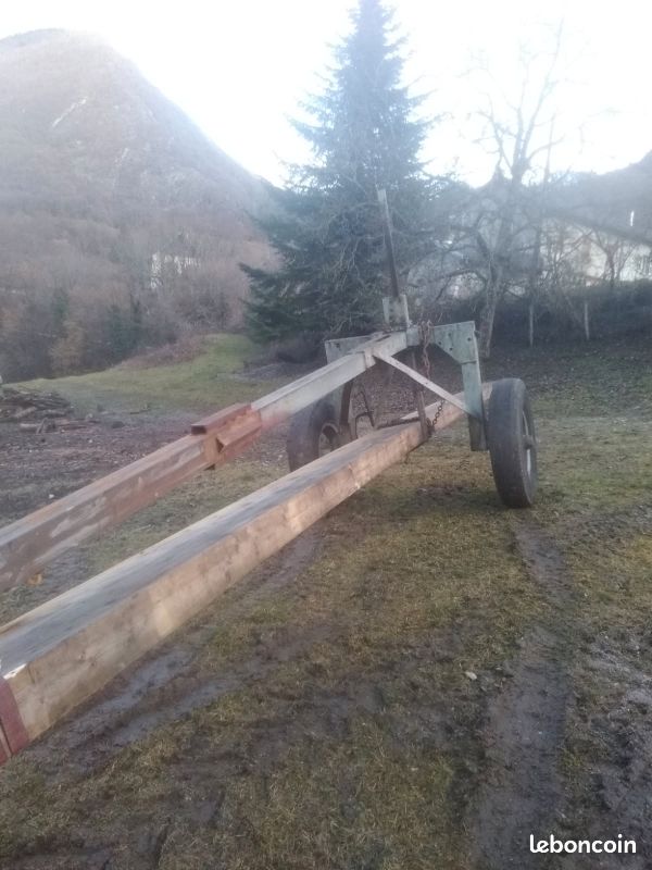 Trinqueballe forestier (image 1)