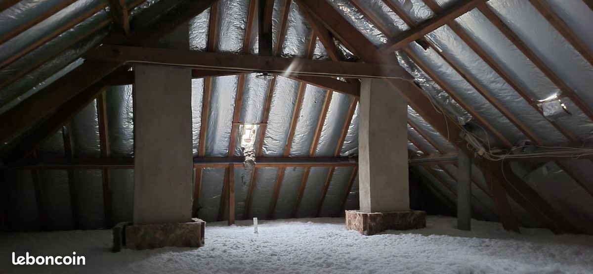 Maison 7 pièces 272 m² - Saint-Pierre-de-Maillé 86260 (image principale 8)