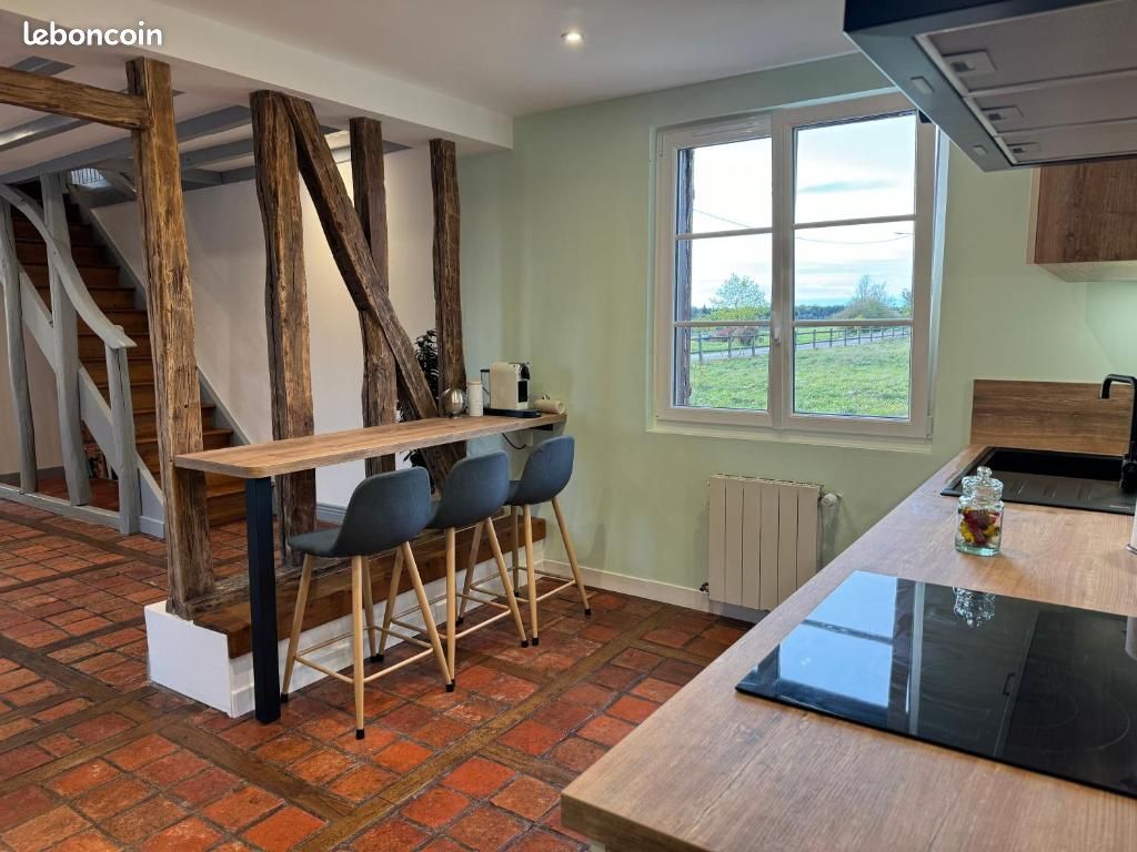 Maison champenoise proche du der (image 3)