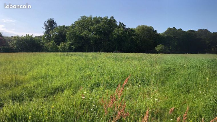 Terrain 1 003 m² Verneuil Sur Vienne