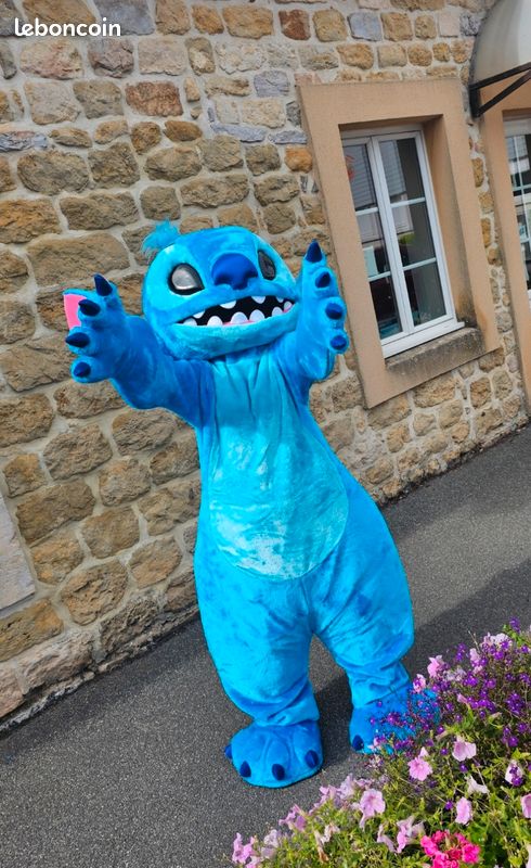 Mascotte / déguisement (image 6)