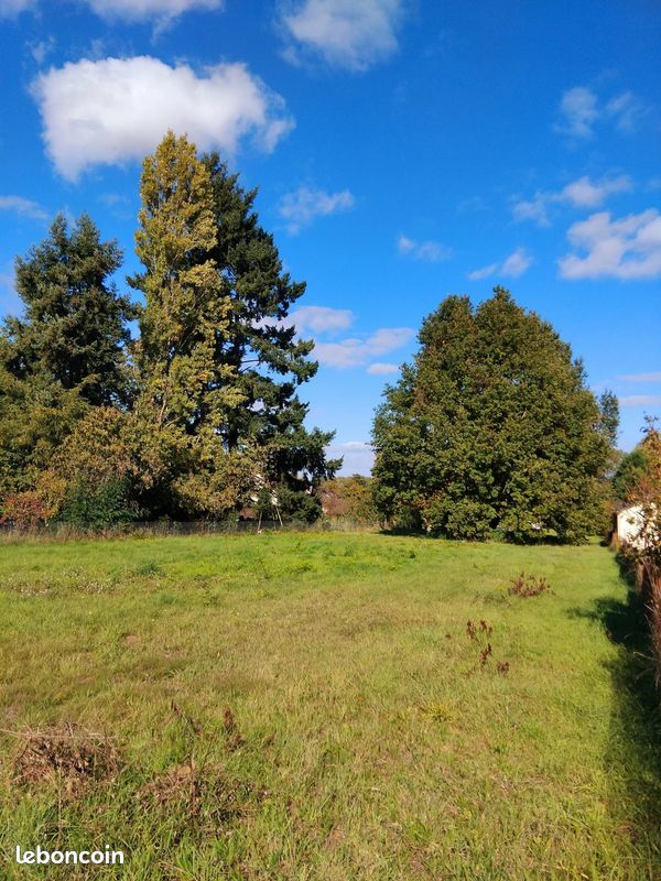 Terrain 1541 m² · à Saint-Laurent-Nouan · 1 541 m² · 50 000 €