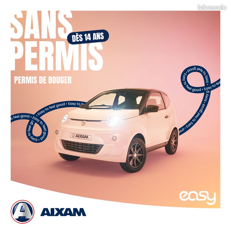 Elle est enfin arrivee : la aixam easy voiture sans permis nantes (image 4)