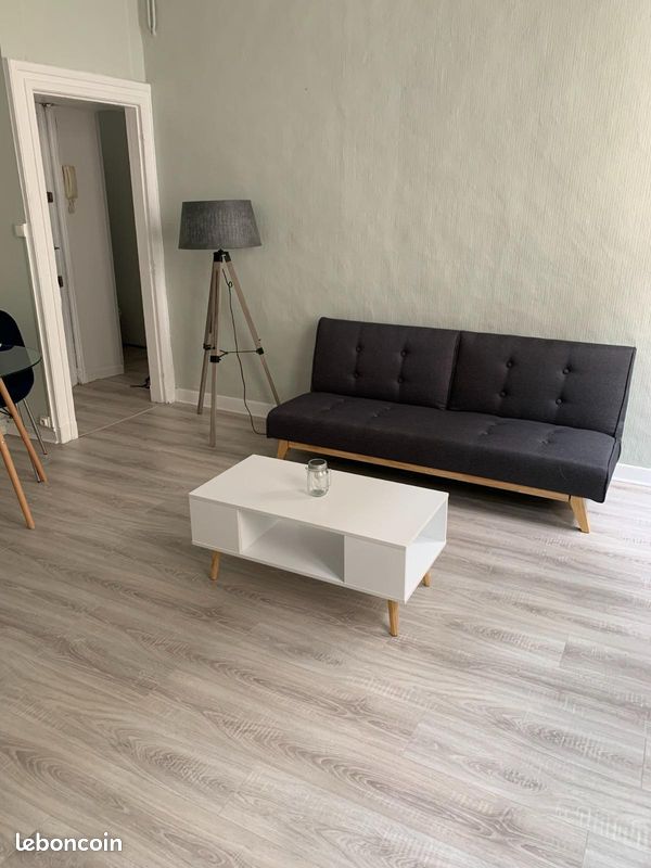 Cosy appartement centre ville - Agen 47000 (image principale 0)