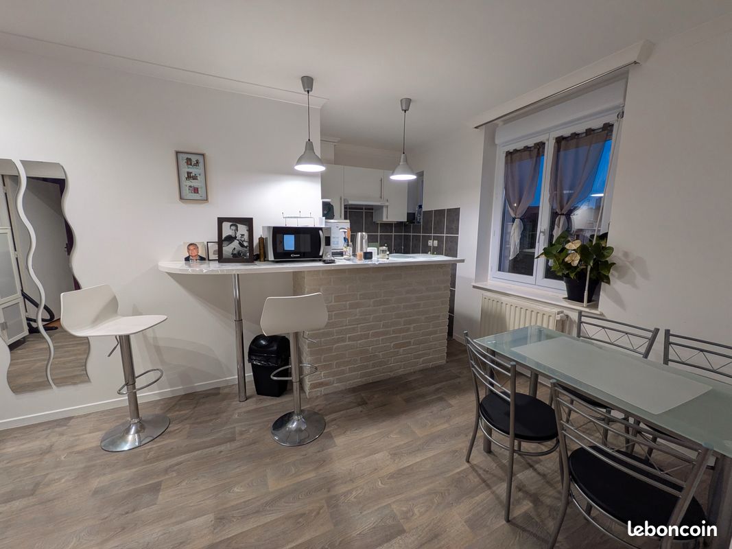 Appartement 2 pièces 45 m² · à Saint-Étienne · 45 m² · 480 €