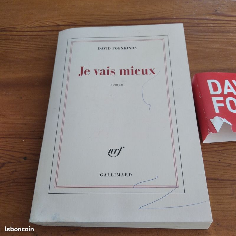 JE VAIS MIEUX de DAVID FOENKINOS (image 1)