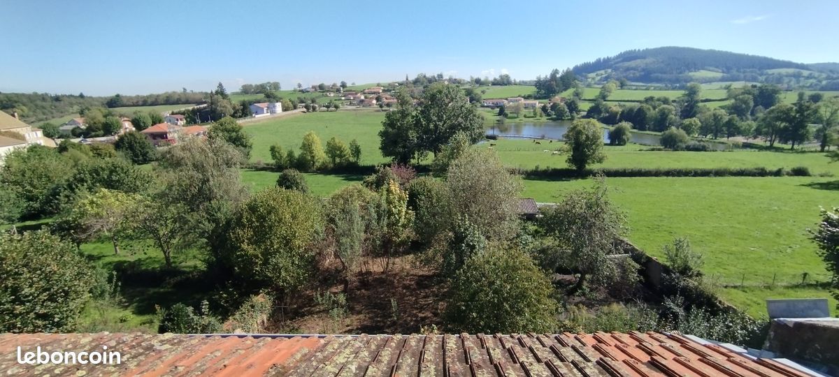 Immeuble 22 pièces 360 m² · à Saint-Martin-d'Estréaux · 360 m² · 75 000 €