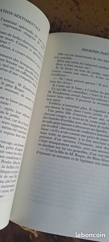 L'éducation sentimentale, G Flaubert (image 4)