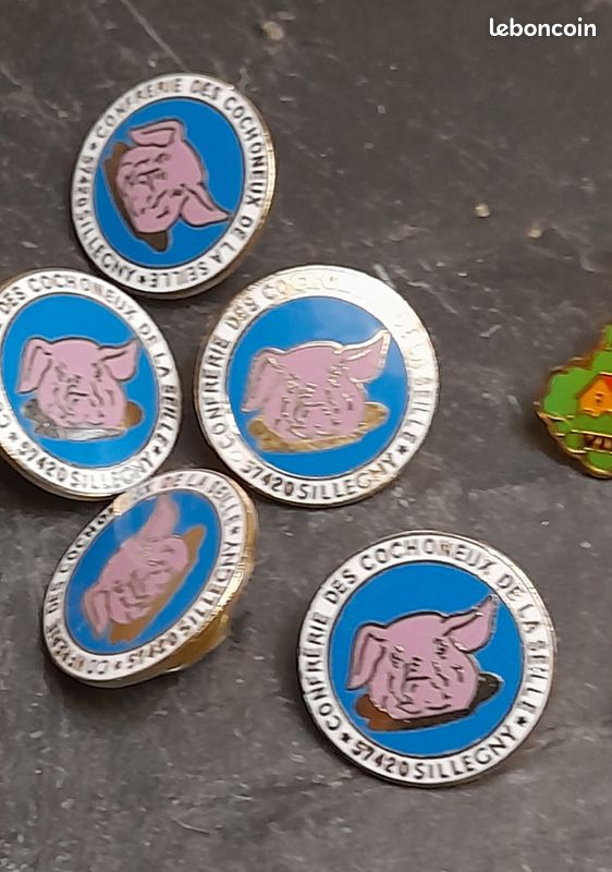 Pin's Badge Drapeau De La Lorraine – 2,2 X 1,6 Cm, Résine époxy, Fermoir Papillon