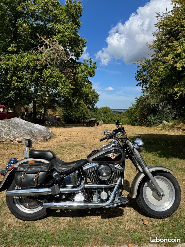 Harley Davidson (image 1)