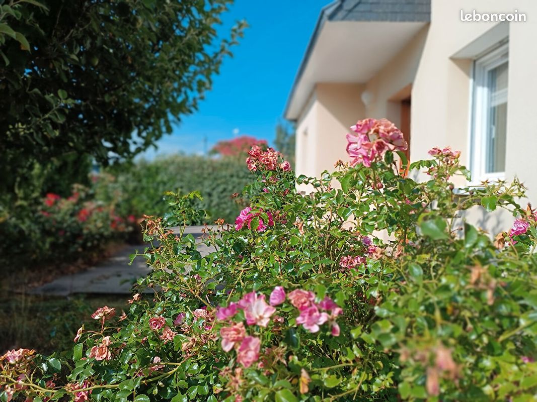 Maison 6 pièces 102 m² · à Saint-Avé · 102 m² · 367 500 €