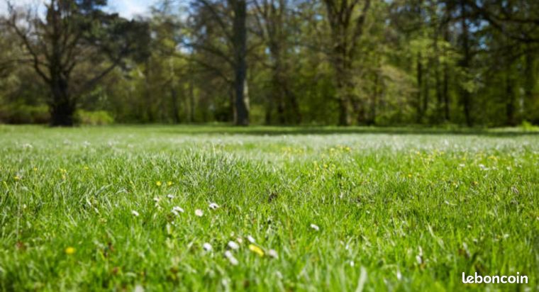 Terrain 549 m² Bailleul