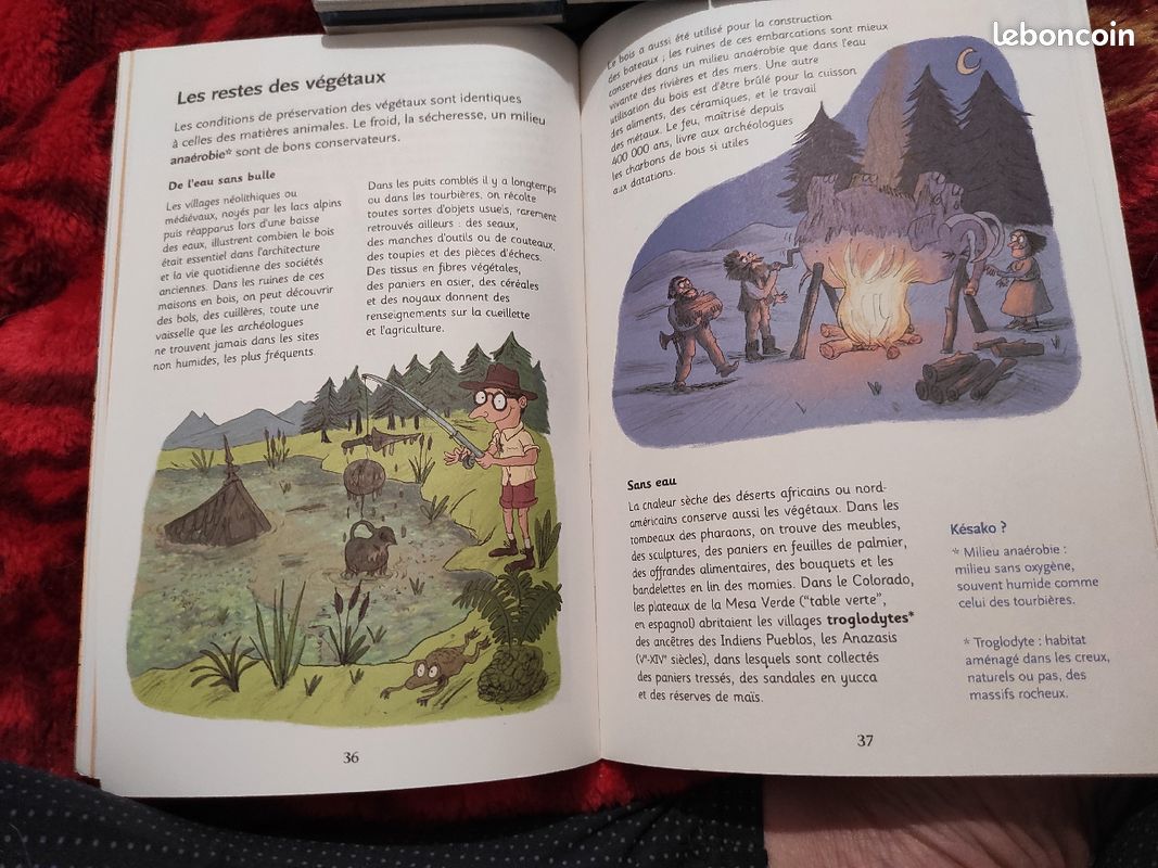 L'Archéologie à Petits Pas - Raphaël de Filippo (image 6)