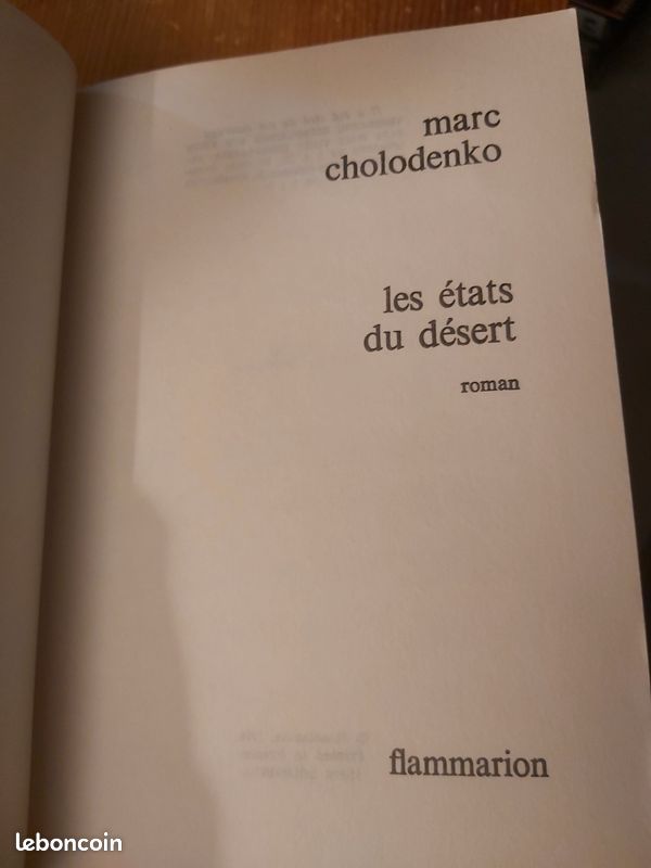 Marc CHOLODENKO: les états du désert (image 4)