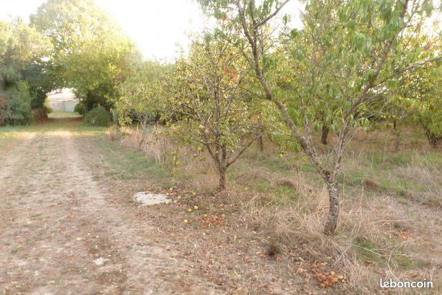 Terrain 6500 m² · à Ballon · 20 000 €