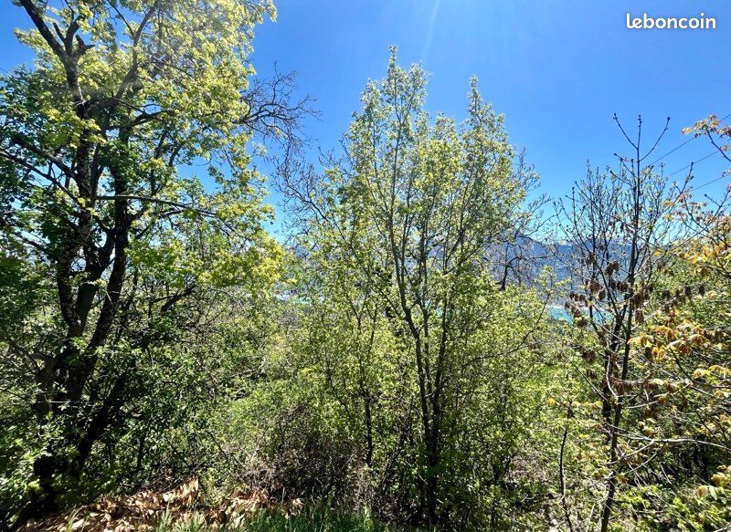 Terrain de loisirs 197 m² – saint-apollinaire (05160) · 25 900 €