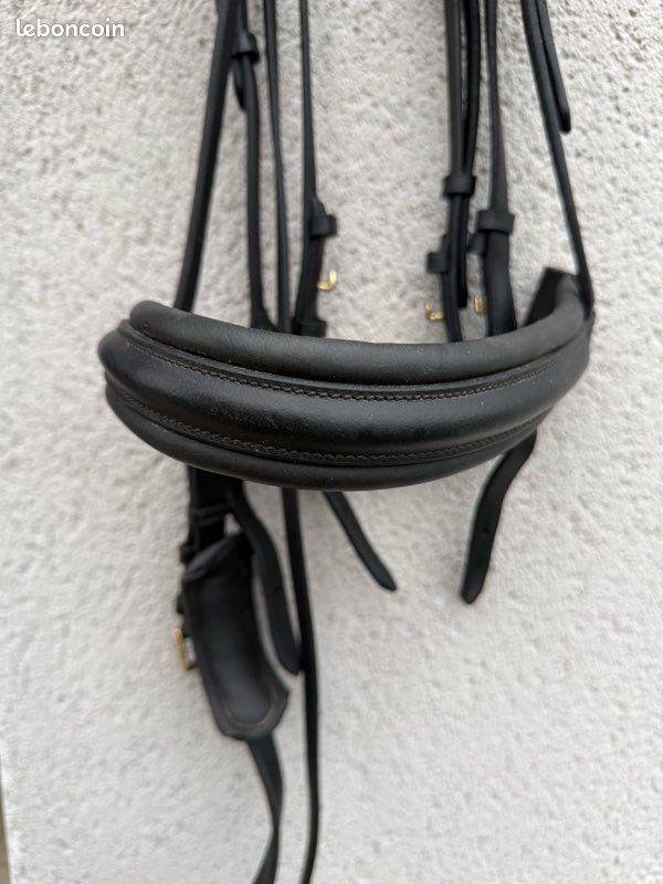 Bride De Cheval En Cuir Véritable - Taille Complète - Rembourrée Avec Rênes - Neuf Pour L'équitation