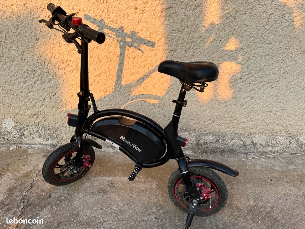 Draisienne VÃ©vélo Ã©électrique Moovway Draisienne électrique