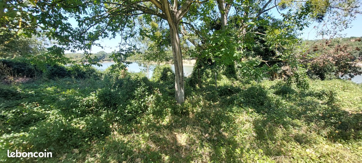Terrain bois - loisirs · à Ayron · 18 000 €