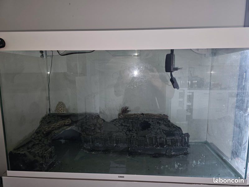Aquarium (image 1)
