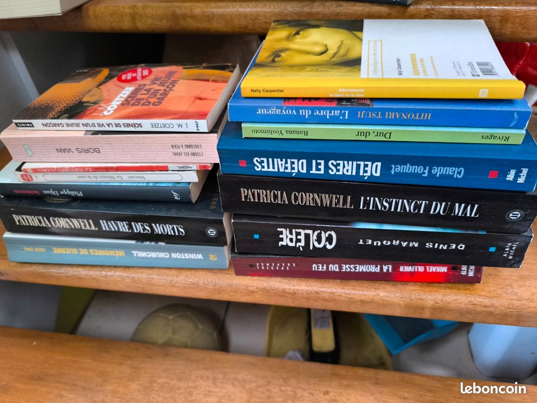 Lot de livres divers (image 1)