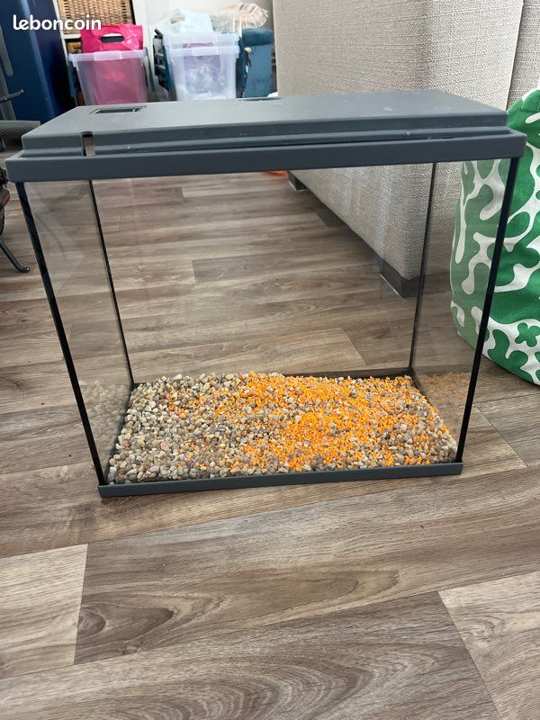 Aquarium de poisson, plus quelques accessoires (image 1)