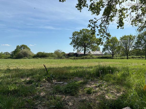 Terrain 599 m² Soulaire Et Bourg